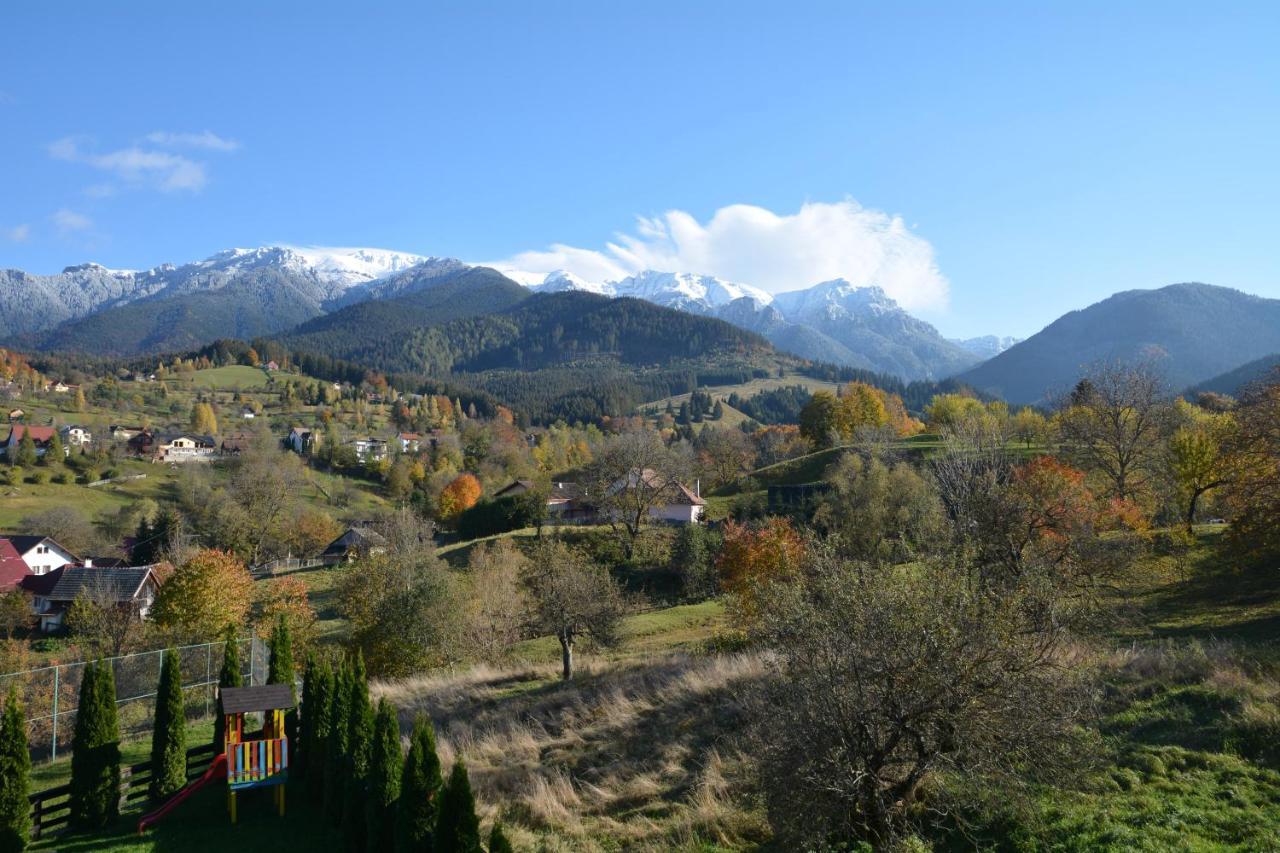 Pensiunea Antonia Guest house
