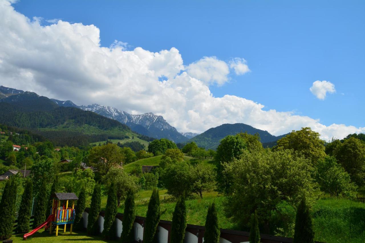 Guest house Pensiunea Antonia
